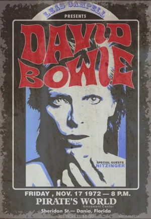 houten poster muziek david bowie bycnk